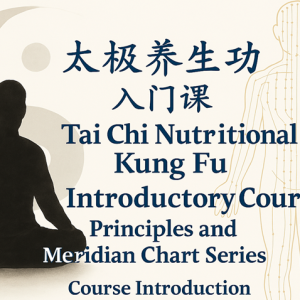 [Required] Tai Chi Nutritional Kung Fu Introductory Course Principles and Meridian Chart Series Course Introduction and Cultivation Notes