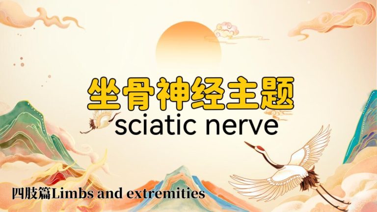 Zhenyao Tai Chi for Sciatica Relief: Soothe Nerve Pain & Restore Mobility Naturally