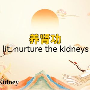 Zhenyao Tai Chi for Kidney Qi Mastery: Nourish Your Life Force with TCM Wisdom