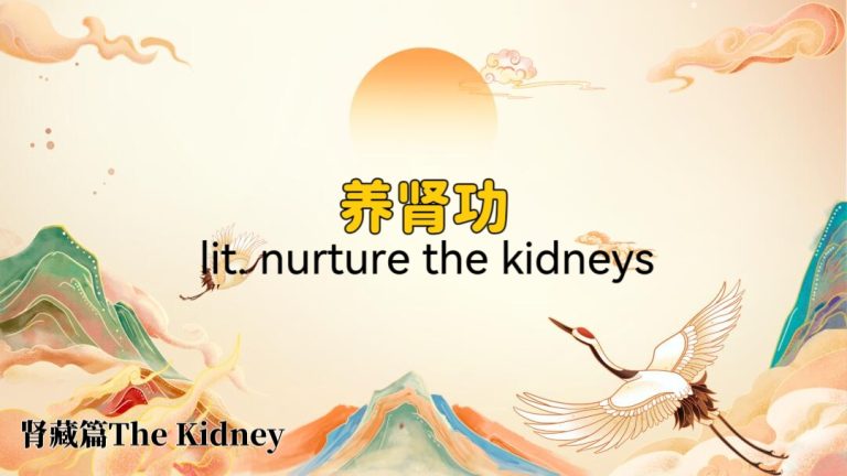 Zhenyao Tai Chi for Kidney Qi Mastery: Nourish Your Life Force with TCM Wisdom