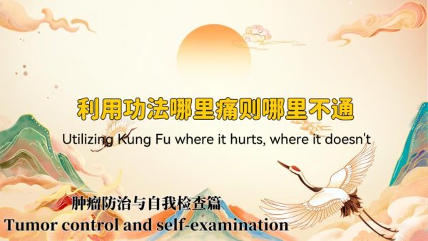 Zhenyao Tai Chi for Self-Insight: Early Detection & Prevention of Health Imbalances Naturally