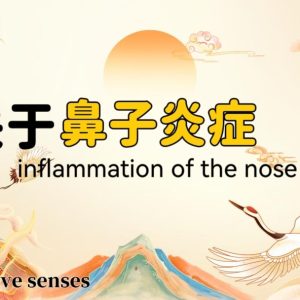 Tai Chi for Sinus & Nasal Health: Natural Relief for Rhinitis, Congestion & Chronic Runny Nose