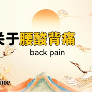 Tai Chi for Lower Back & Kidney Vitality: Natural Relief for Lumbar Fatigue, Muscle Strain & Energy Deficiency